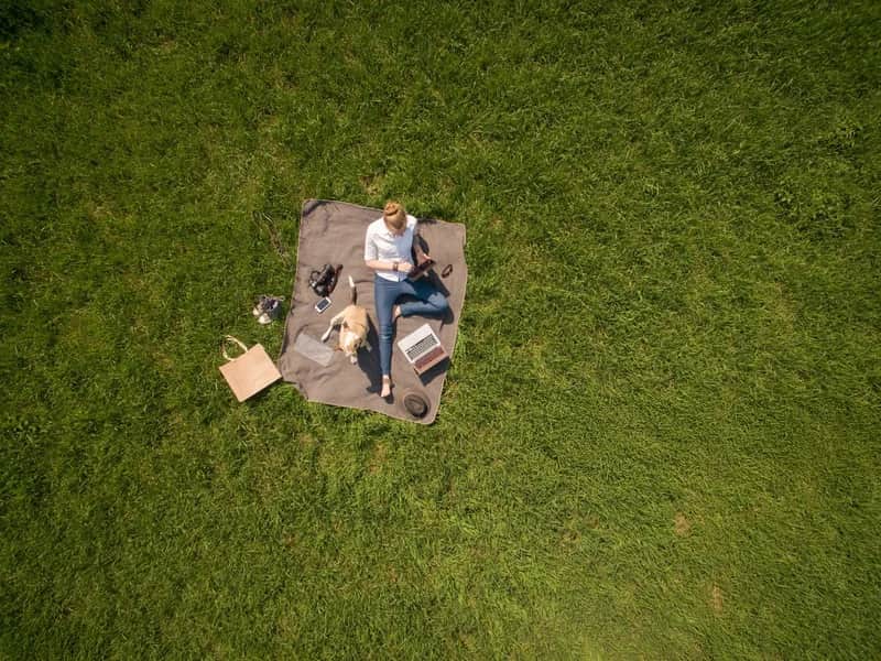 Grassy hill