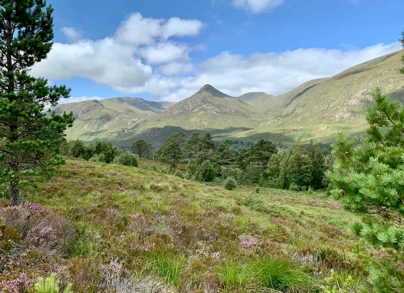 BEAUTY SPOT: Glen Affric was a particular favourite of the Ronald Burn, the second person to complete the Munros