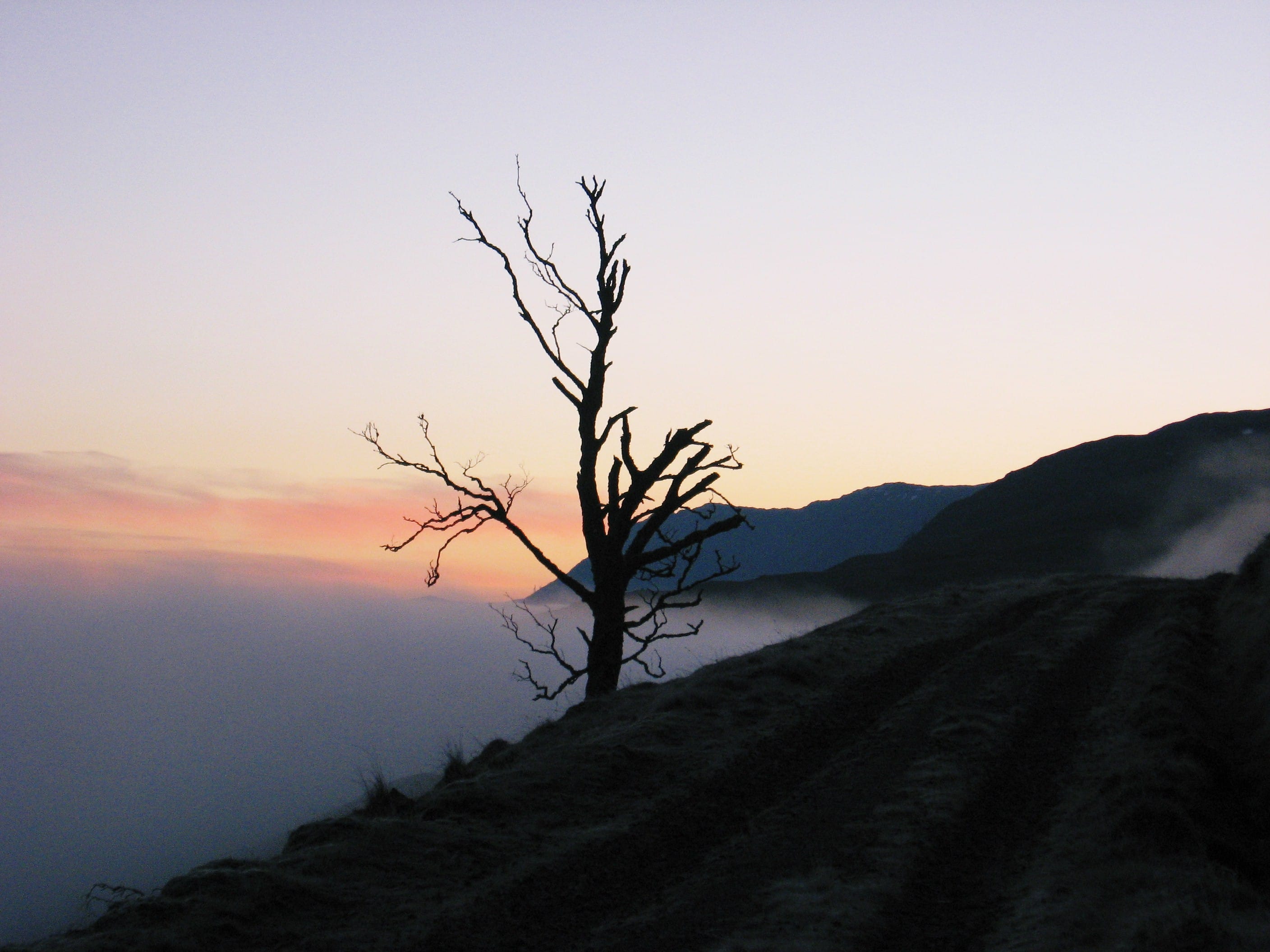 TREEMENDOUS: En route to Beinn Loinne