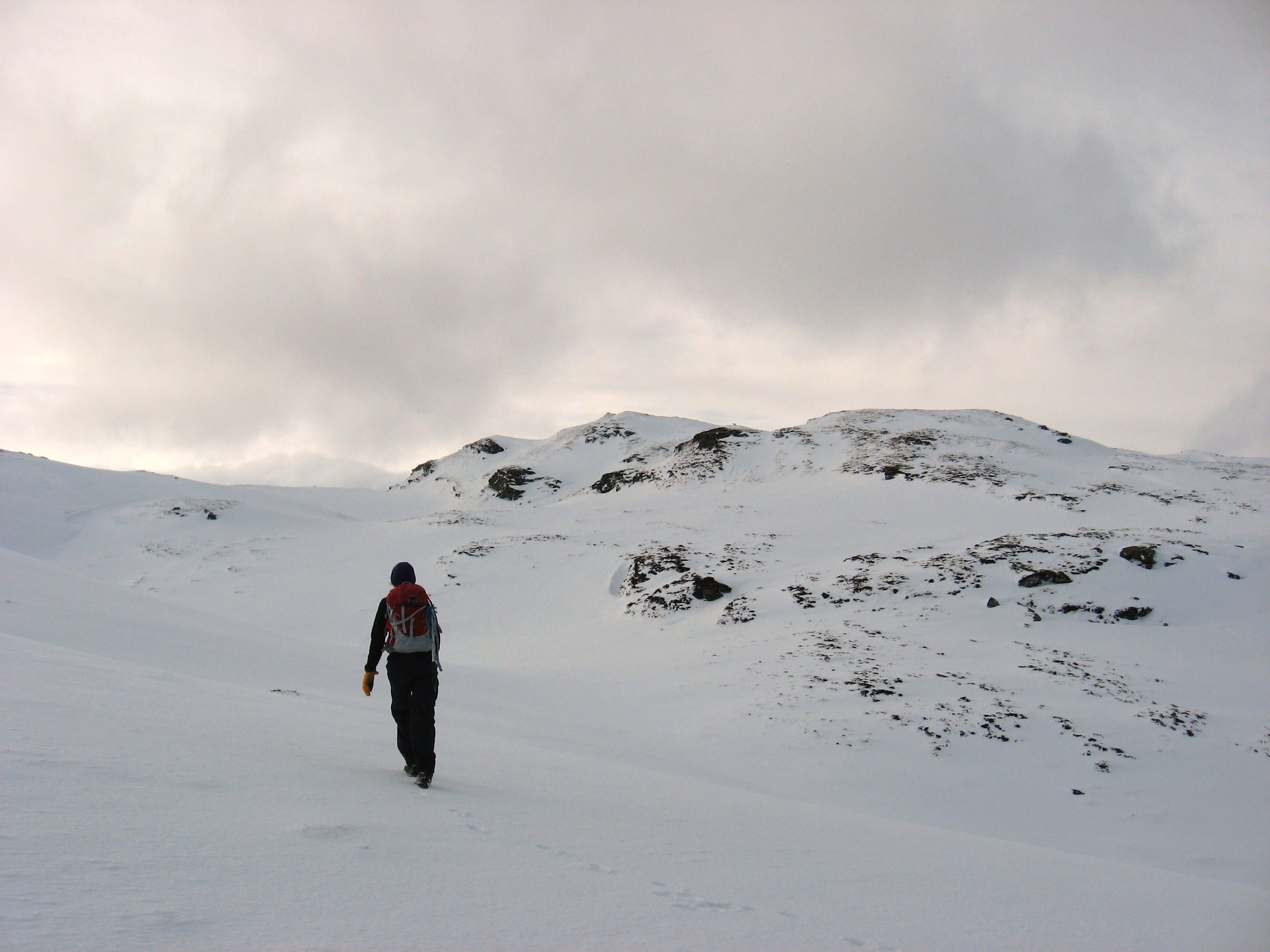 LIGHT ON HER FEET: My hill partner skips across the deep snow en route to the summit of the Stob