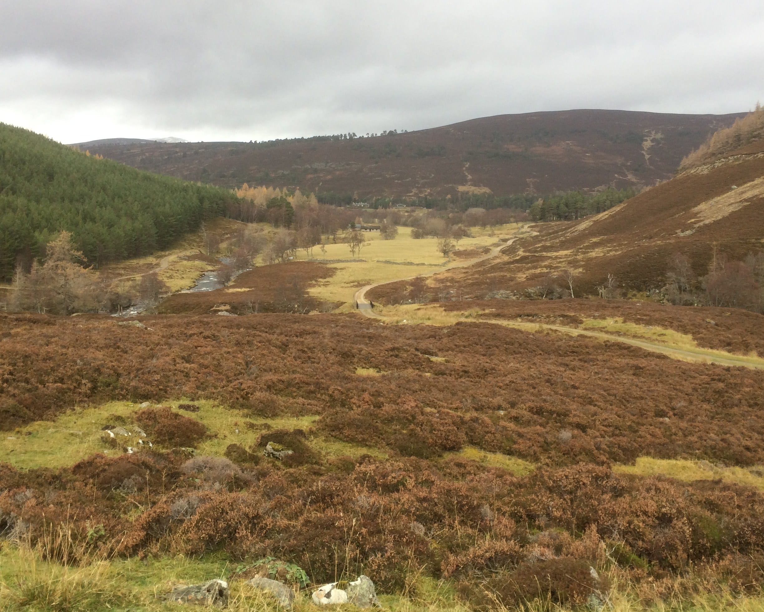 AUTUMN COLOURS: Glen Ey