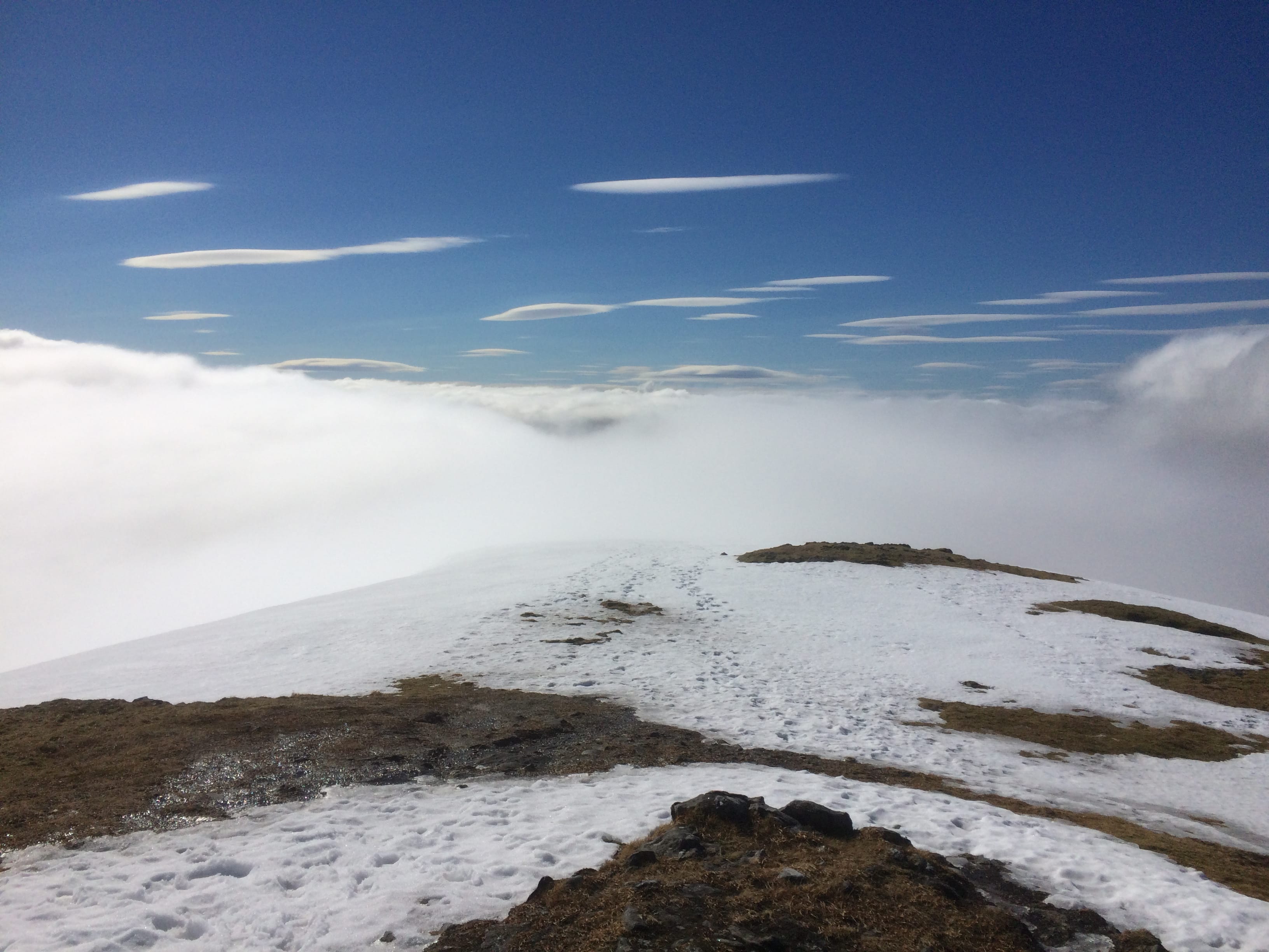 RISING VIEW: On Ben Challum
