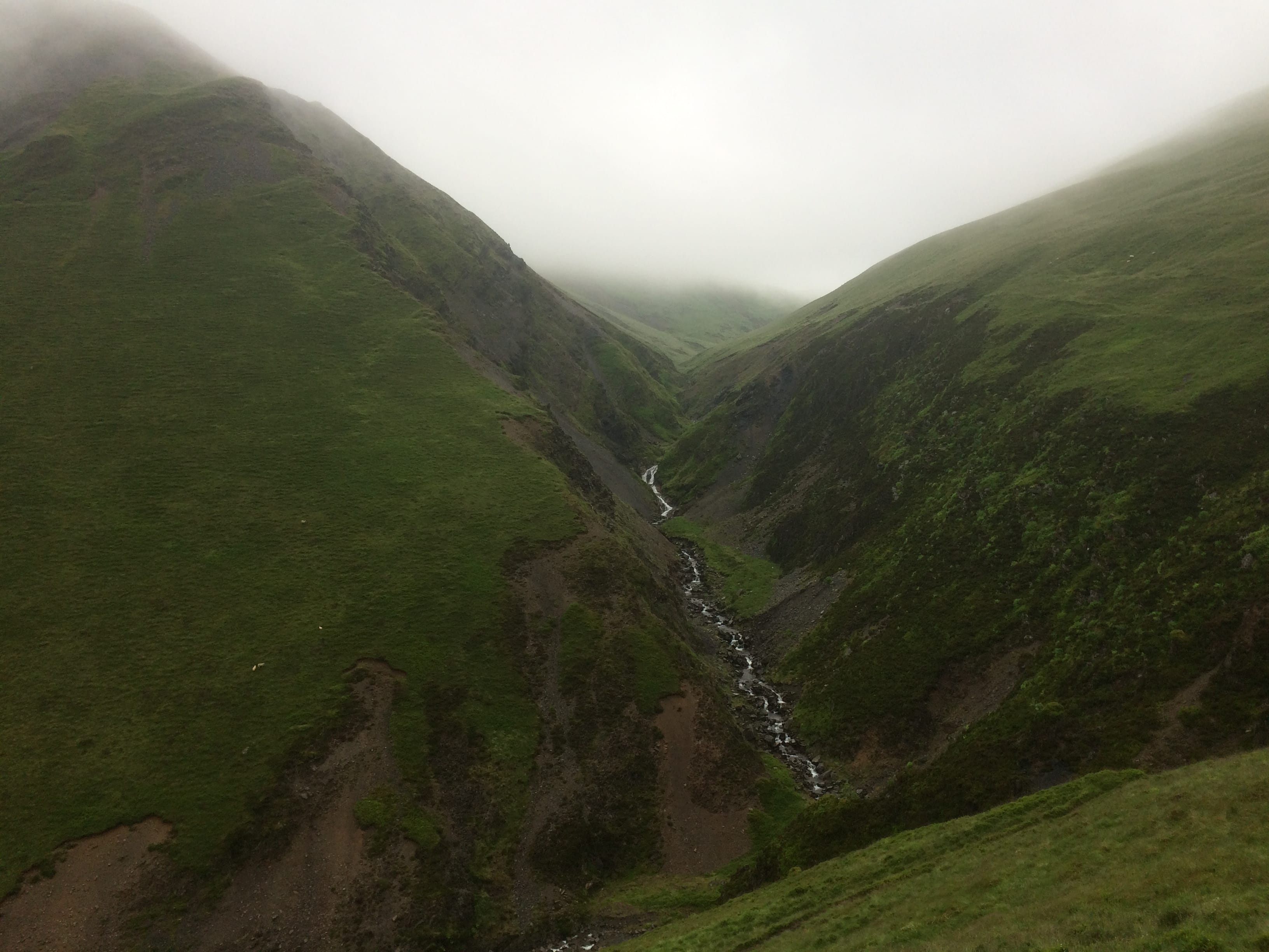 SIGHTS UNSEEN: A gloomy July view towards Ettrick Head during a round of the Ettrick hills in permanent mist and poor visibility