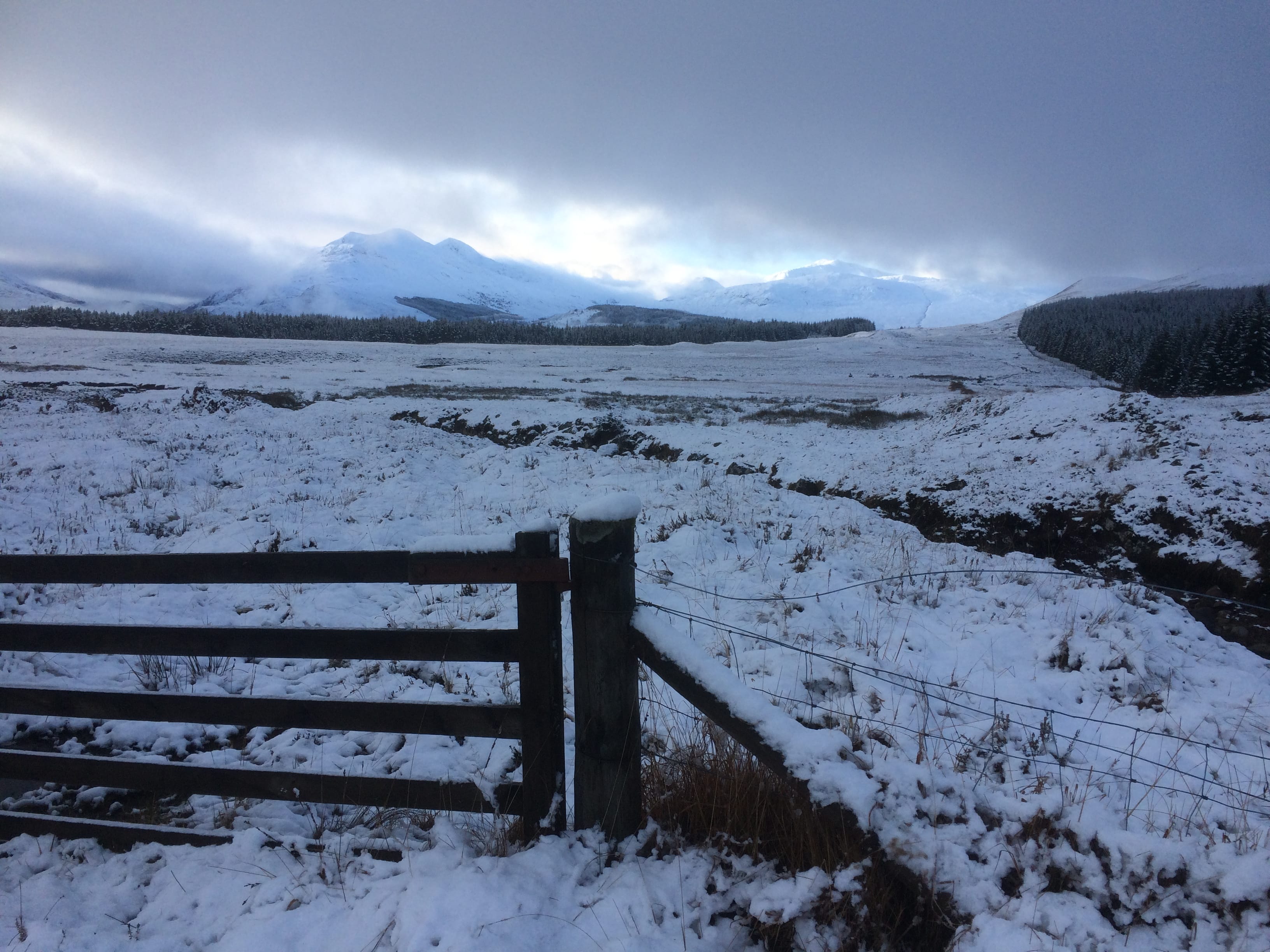 MOUNTAIN GATEWAY: Distant Easains