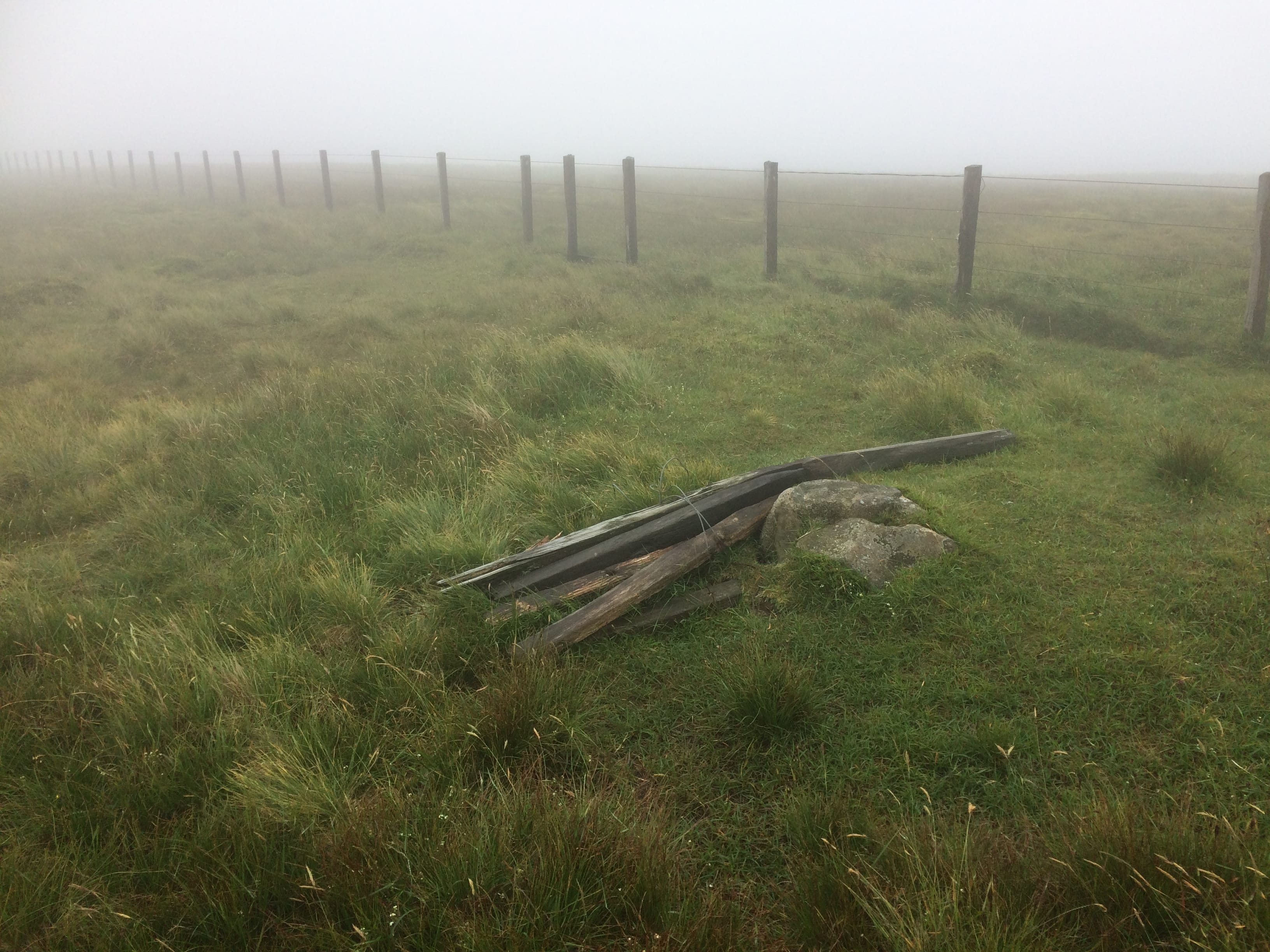 NO SUMMIT FANFARE: The highest point of Ballencleuch Law in the mist - a couple of broken posts mark the spot