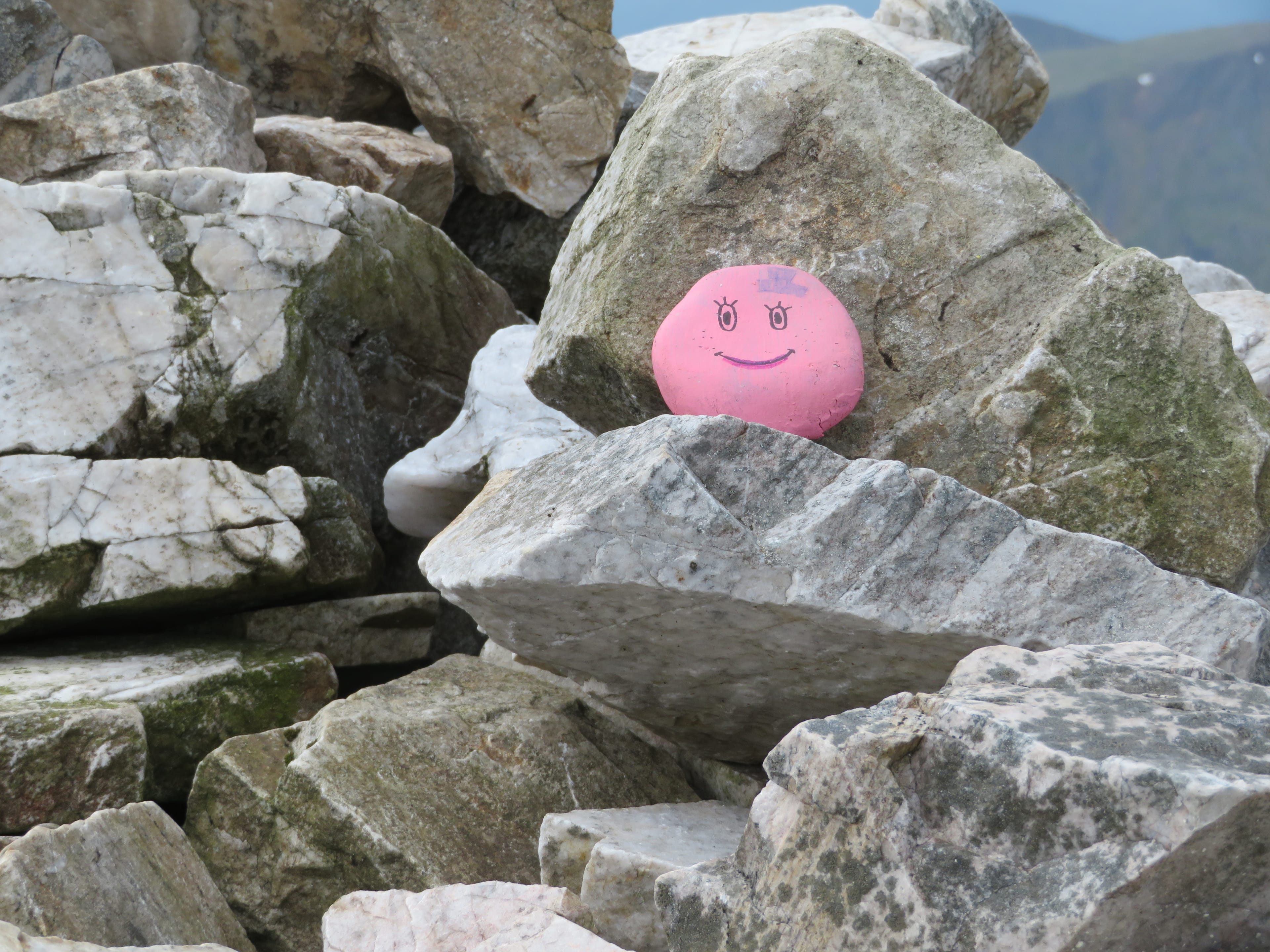 PAINTED ROCK: On Sgurr a' Mhaim