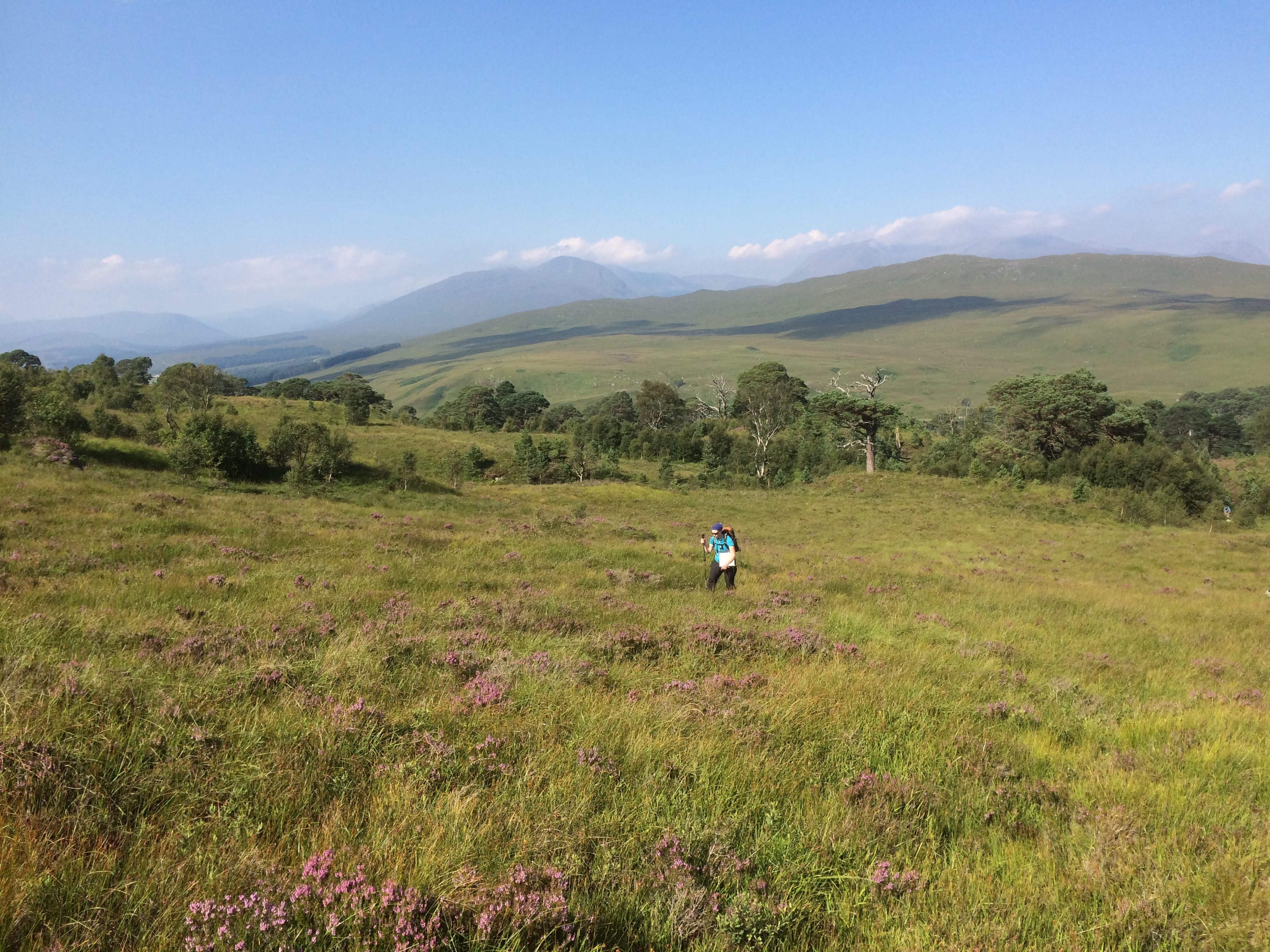 ENCOURAGING: Crannach Wood