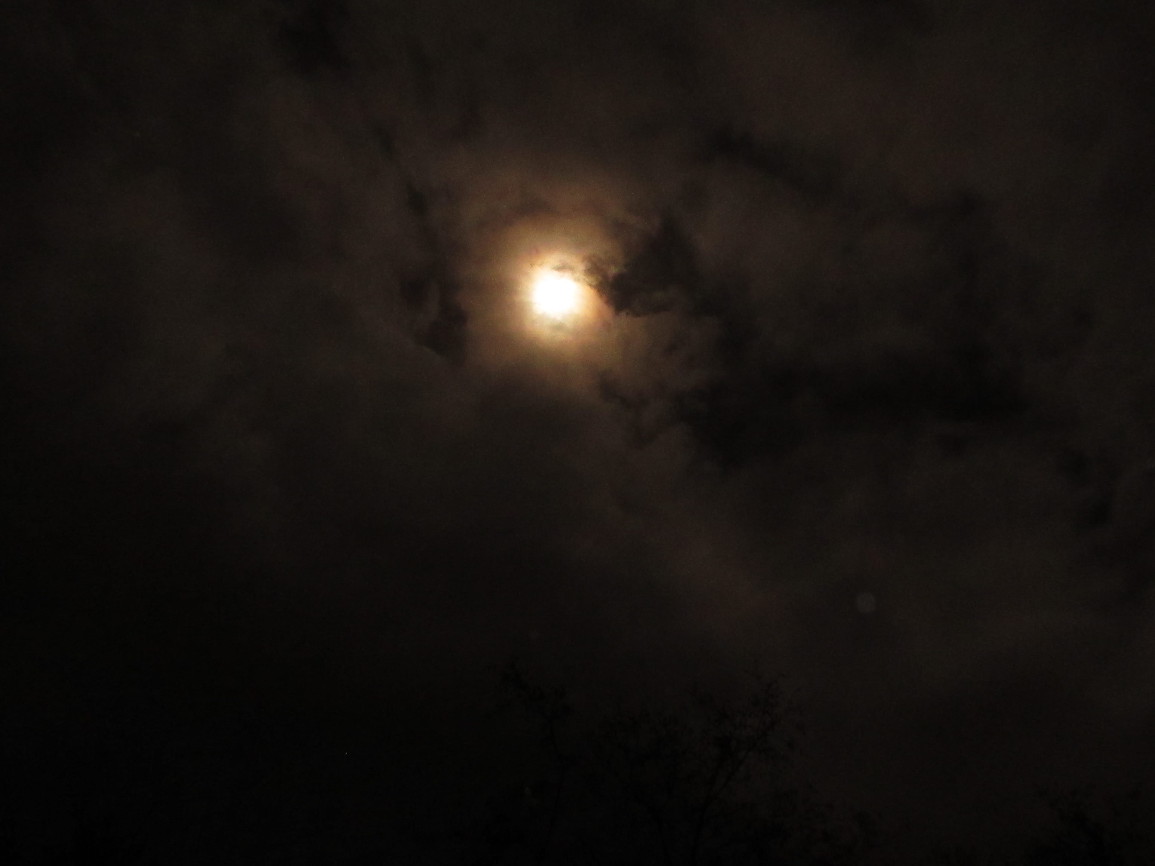 'RARE SIGHT: The Beaver Moon makes a brief appearance through the clouds during the ascent of Ben Cruachan'