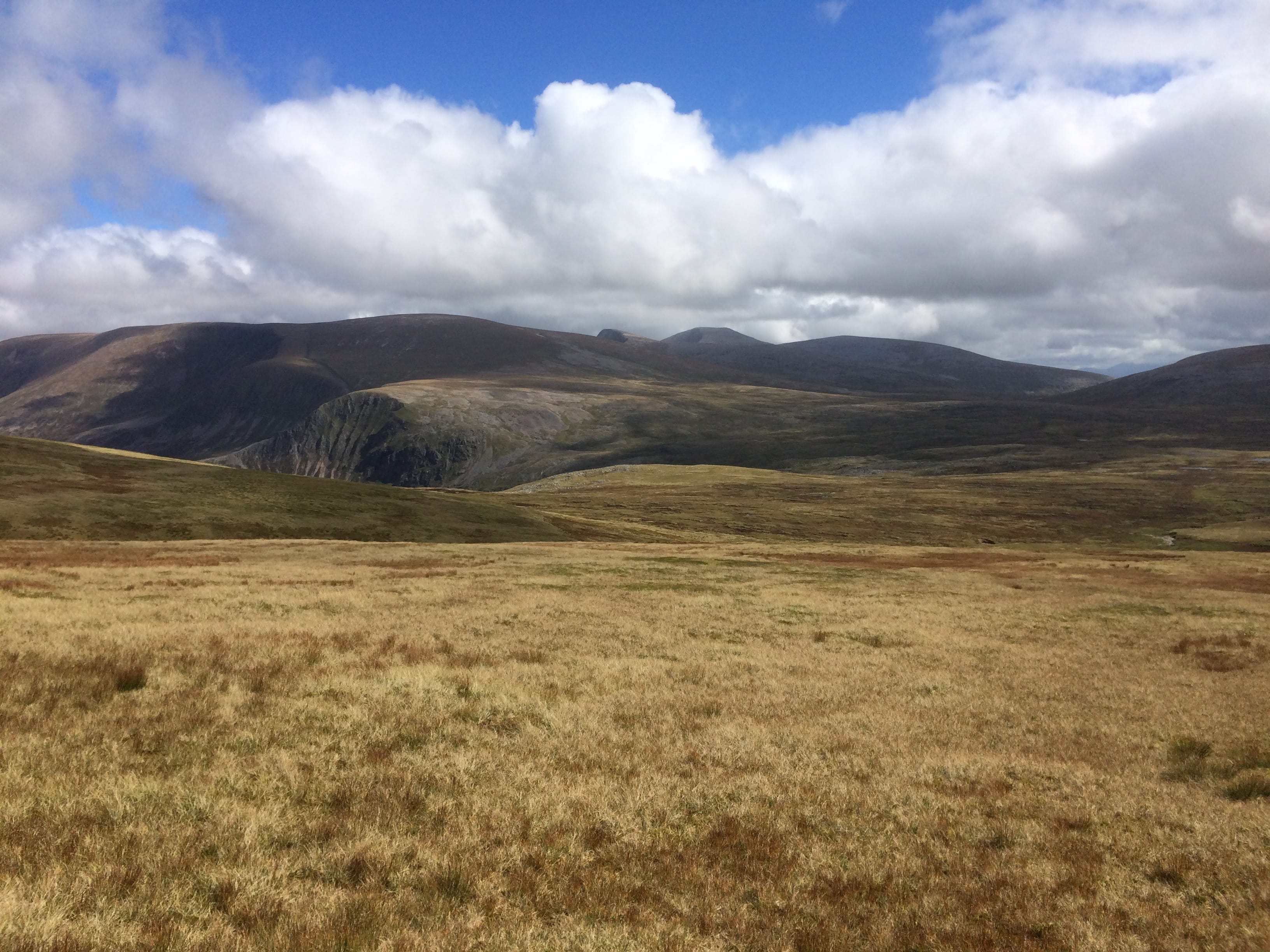 DISTANT VIEWS: Looking over the wide open spaces of the Moine Mhor to the main Cairngorms peaks