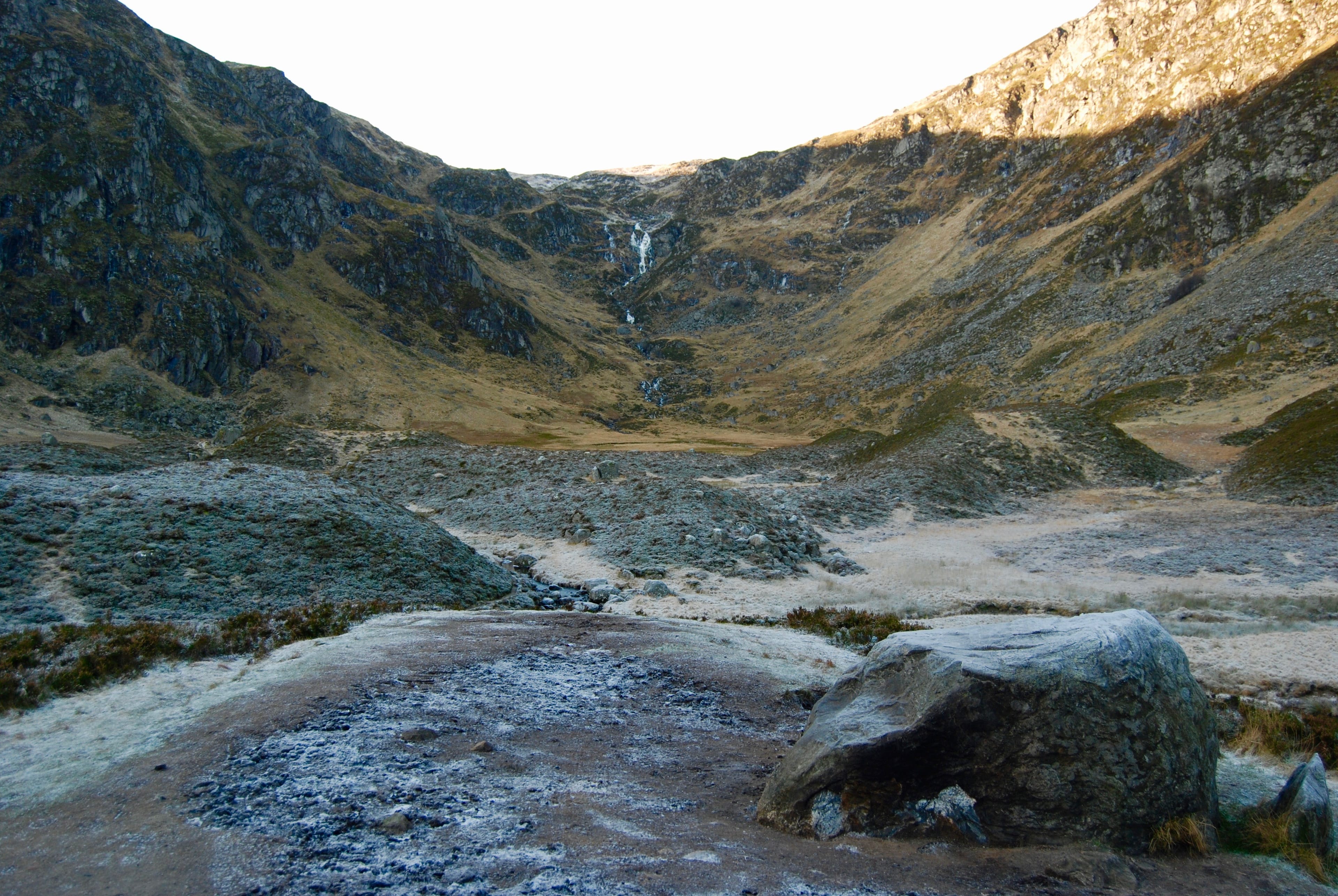 CRISP MORNING: Corrie Fee