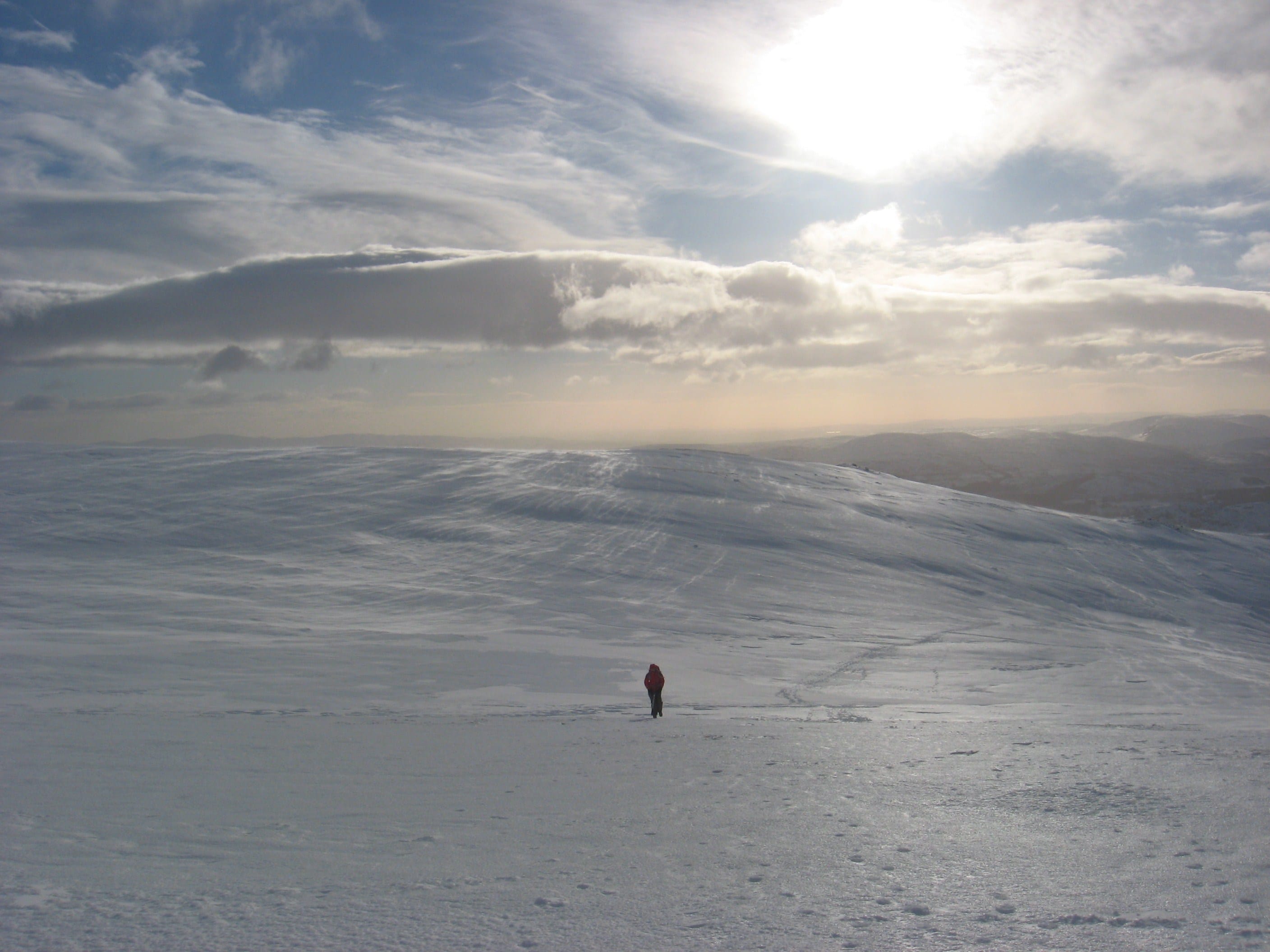 LONE WOLF: Winter landscape