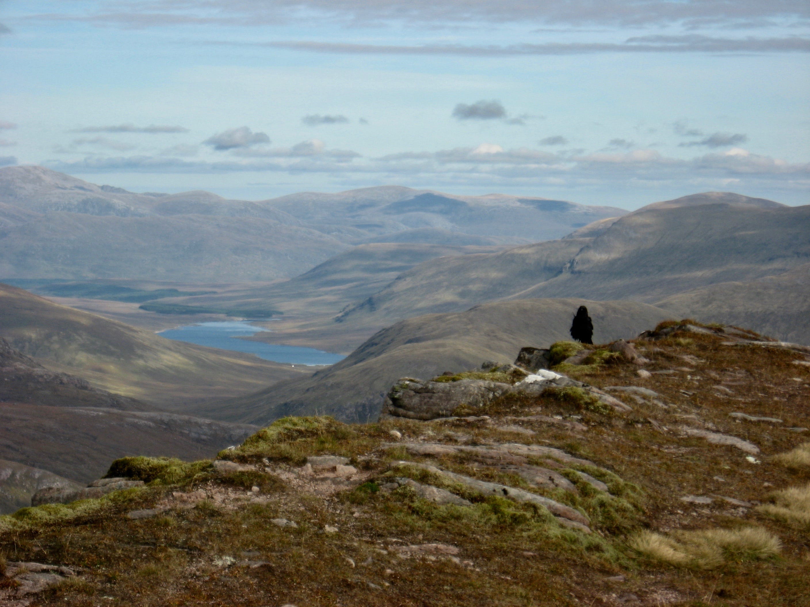 RAVEN COUNTRY: On Slioch