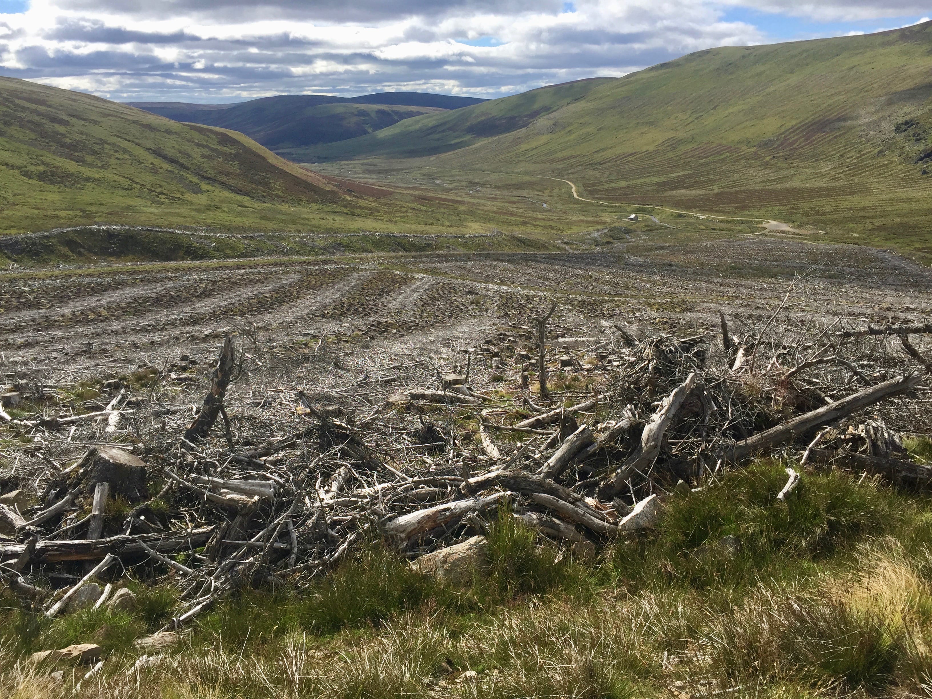 TREELESS GROUND: The area above the Kilbo Path in Glen Prosen where a section of forestry has been cleared