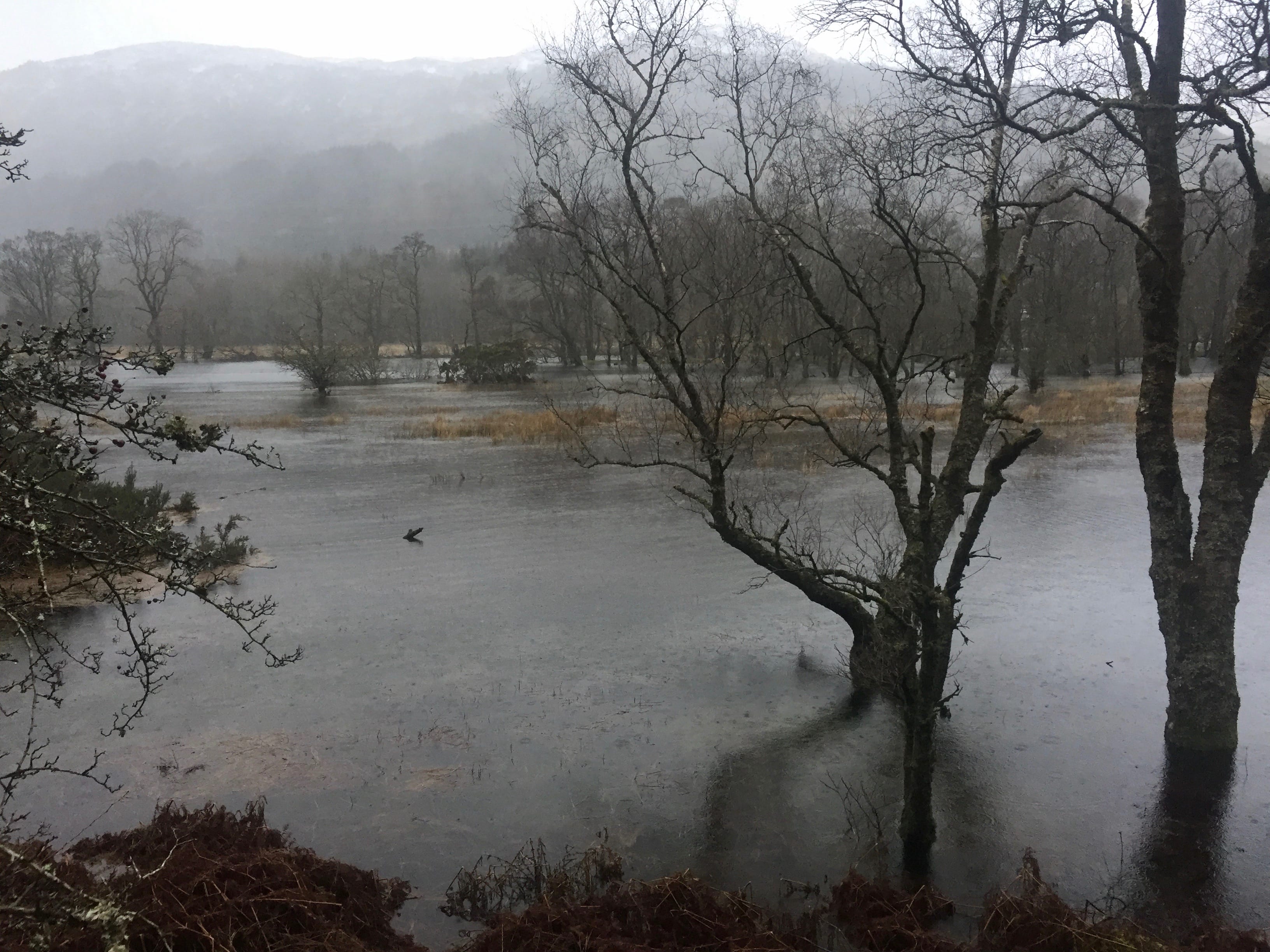 RAINY DAY: Loch Lomond flood