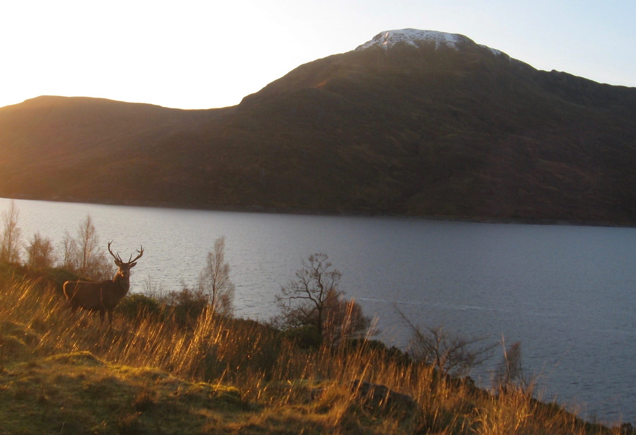 WATER MOUNTAIN: Gairich at sunset