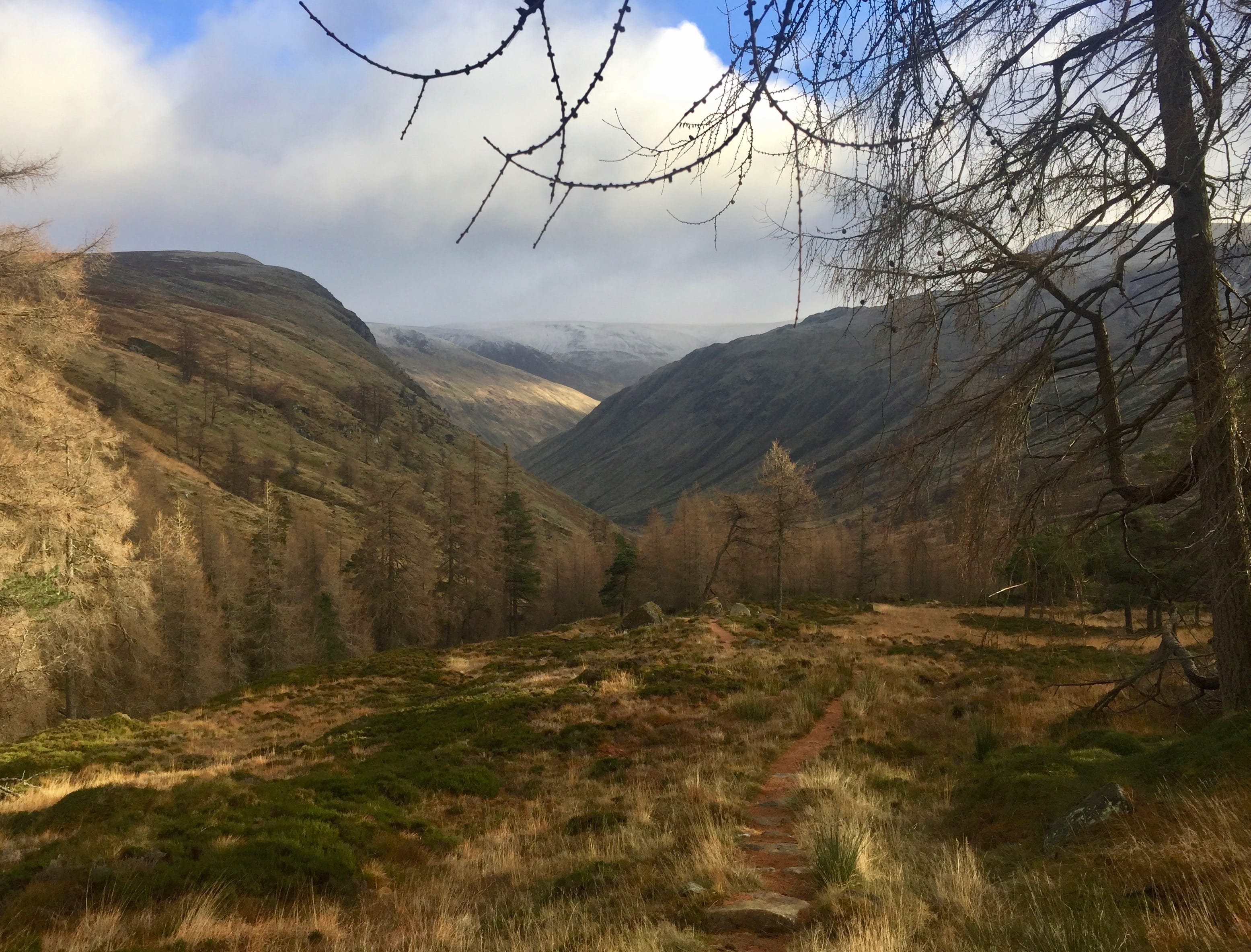 THE WAY AHEAD: Looking down from the edge of the trees above Bachnagairn as the sun makes an appearance 