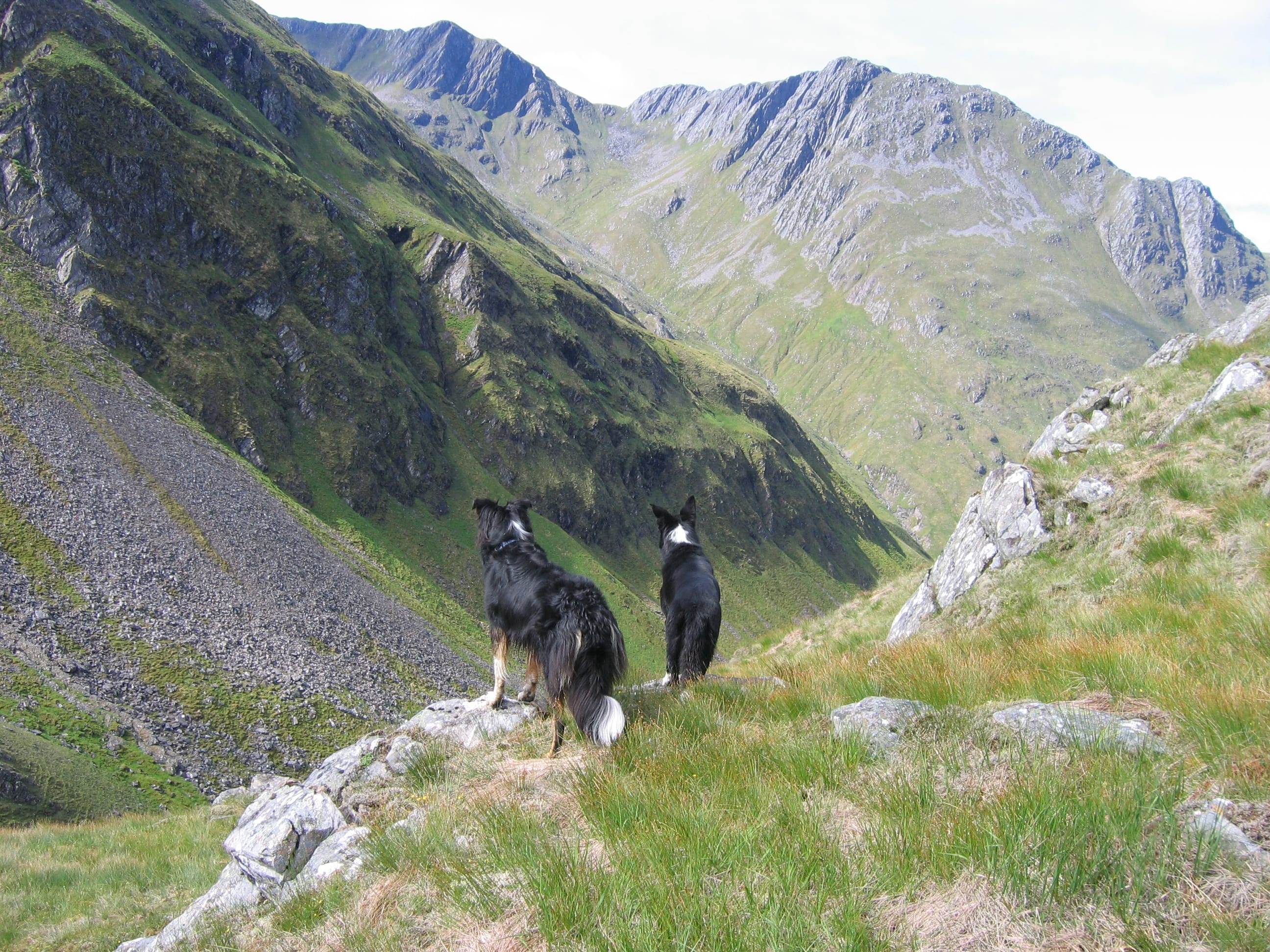 HIGH JINKS: Molly and Milly