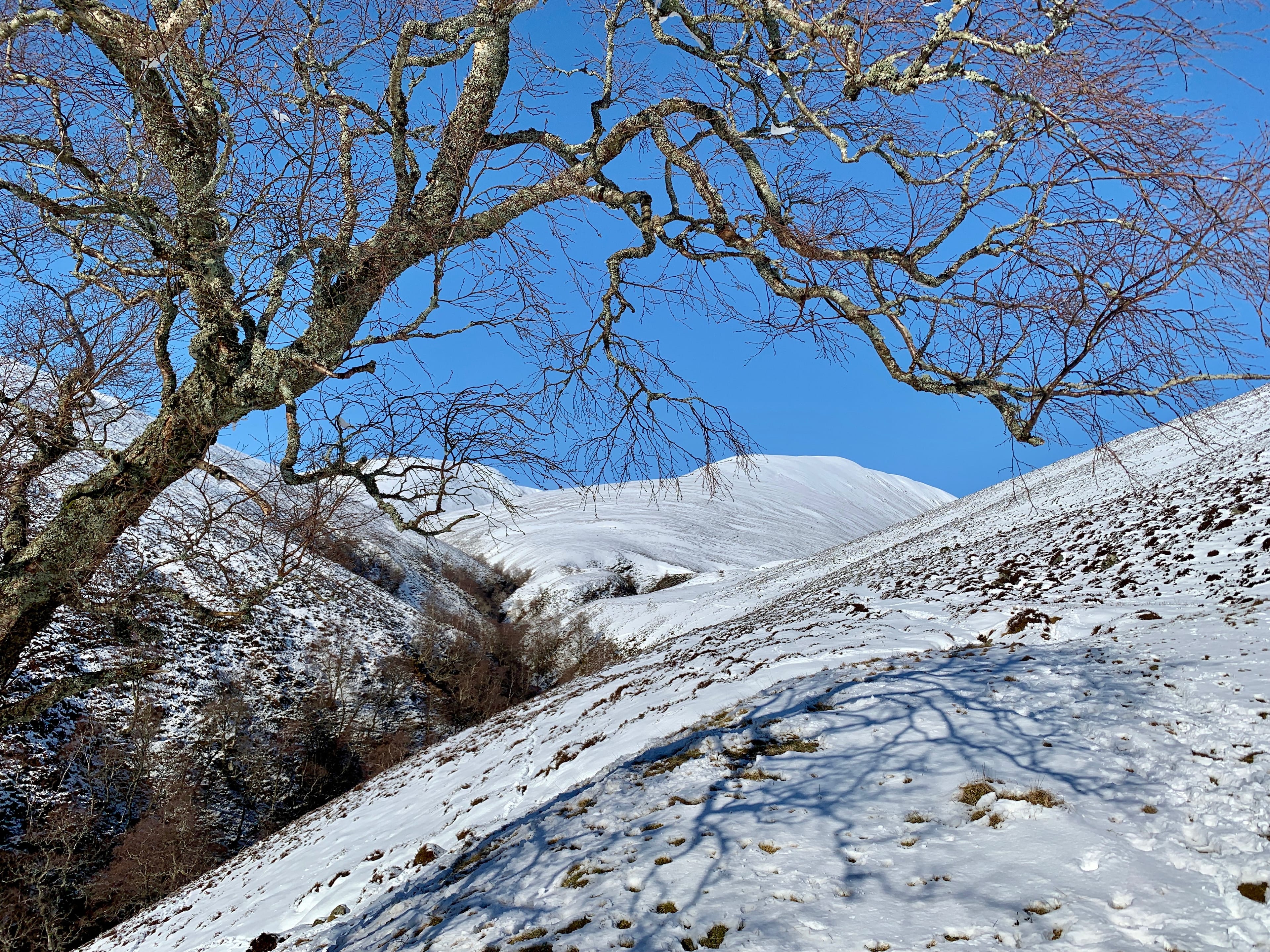 DISTANT TARGET: Beinn Mheadhonach
