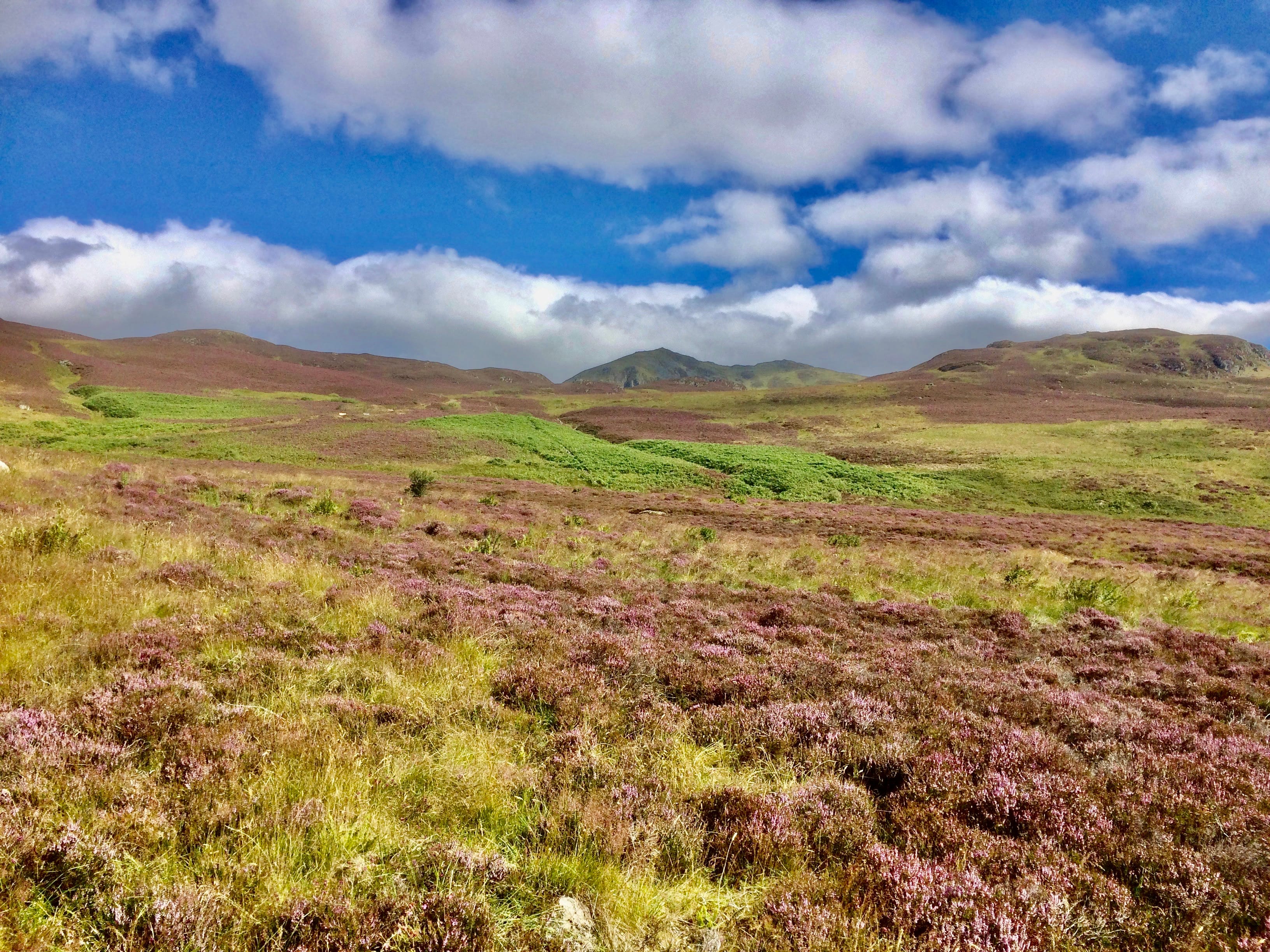 PATH PROJECT: Ben Vrackie