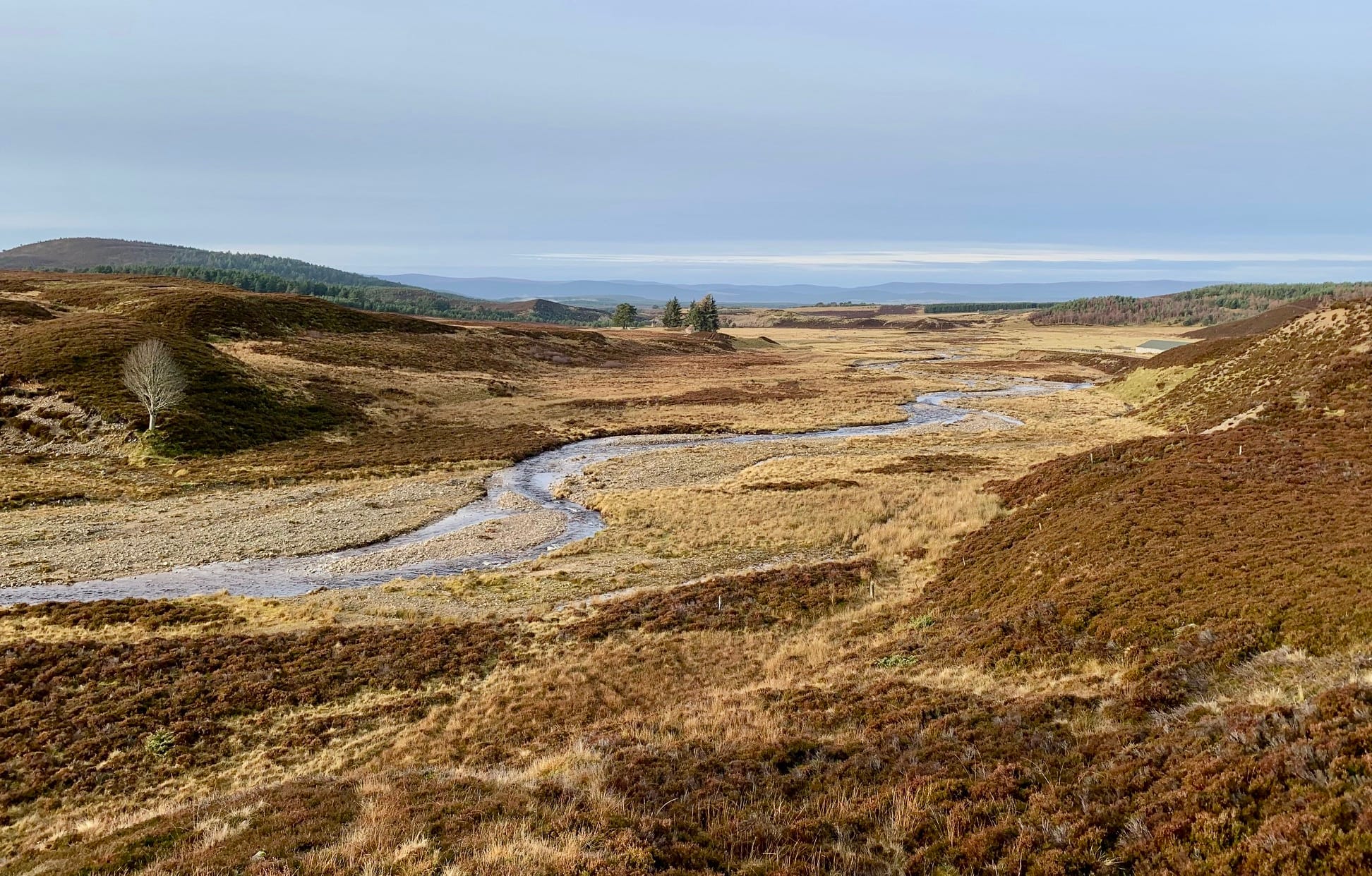 THE LONG VIEW: Dorback Burn