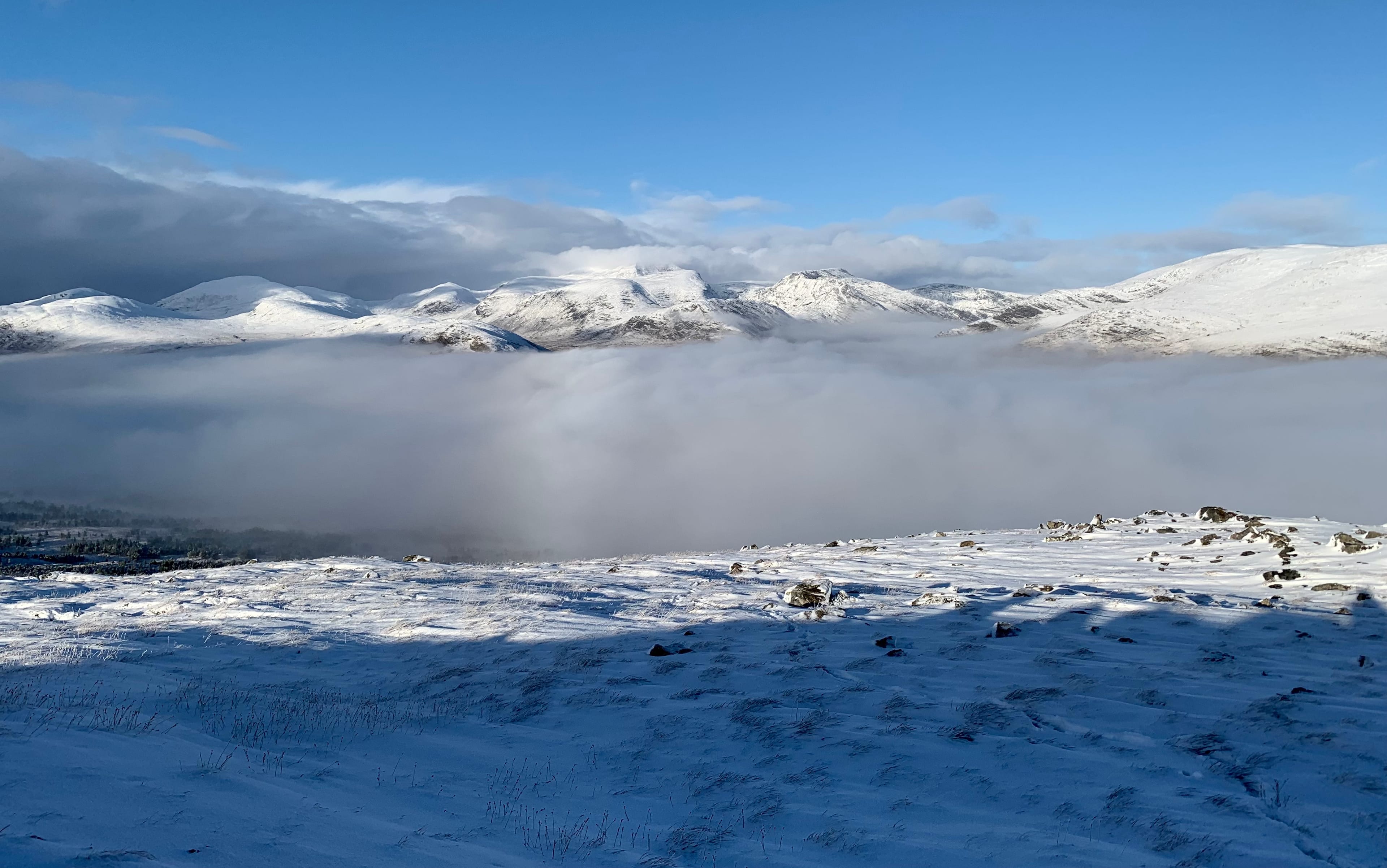 ICY BEAUTY: November 2024