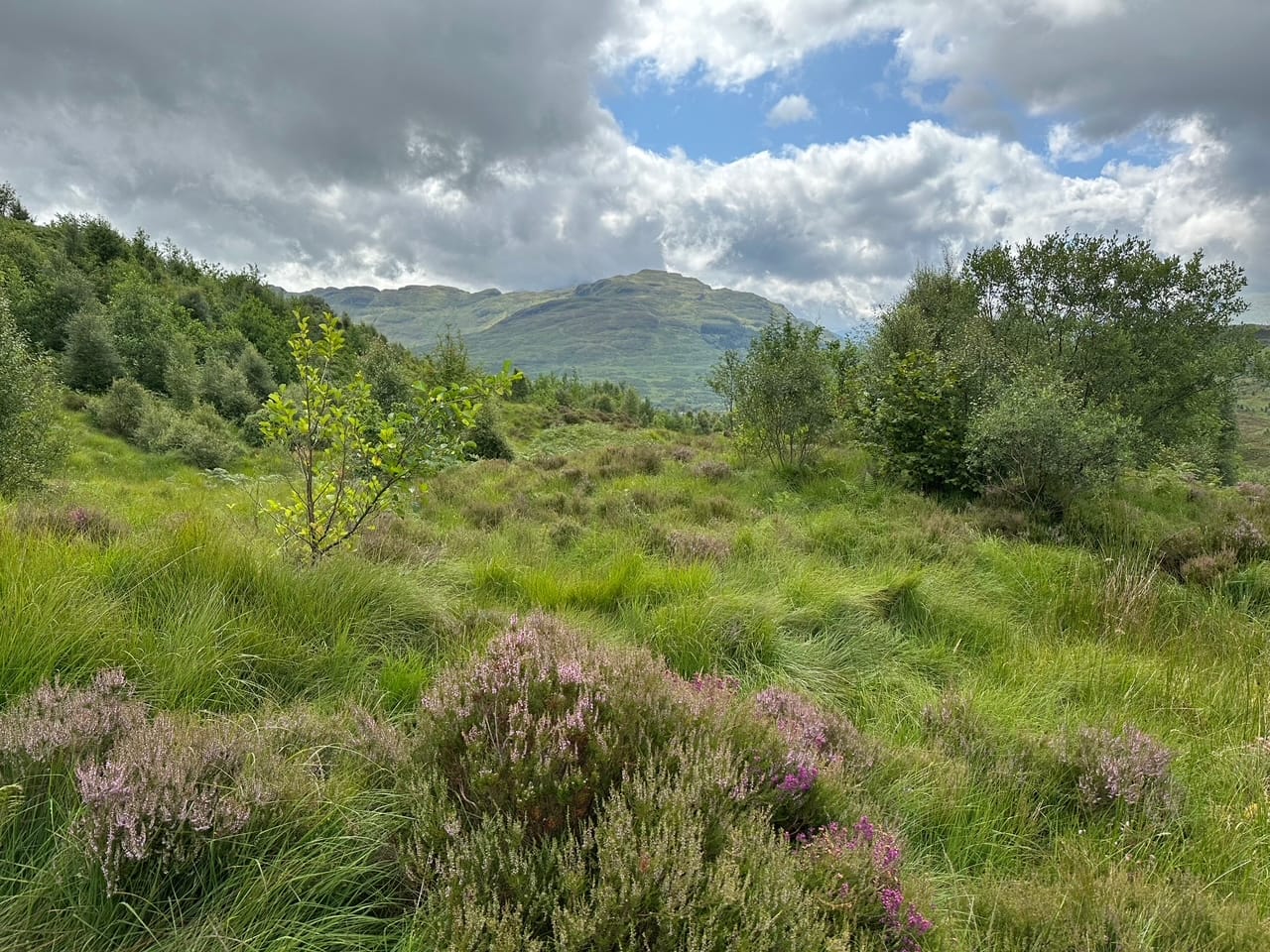 VERDANT VIEW: Beinn a' Choin ascent