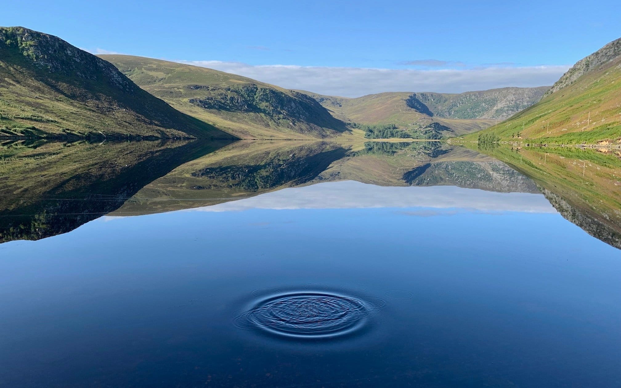 RIPPLE OF DELIGHT: Loch Lee reflections