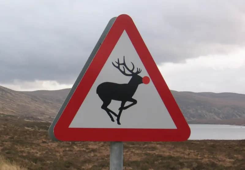 WINNER BY A NOSE: The road sign in Sutherland with aded red nose that inspired Christmas card