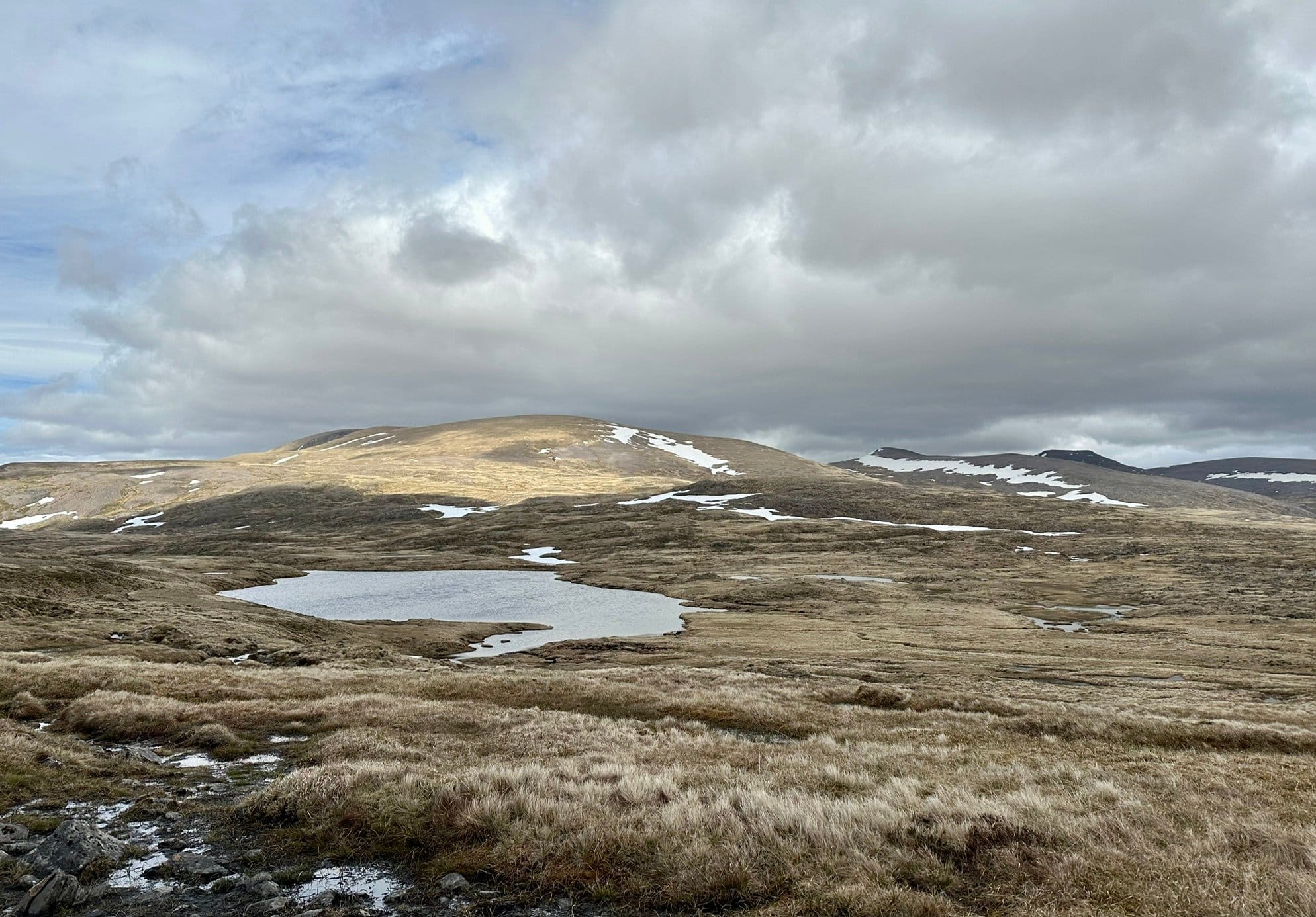 HIT AND MOSS: Moine Mhor and distant hills